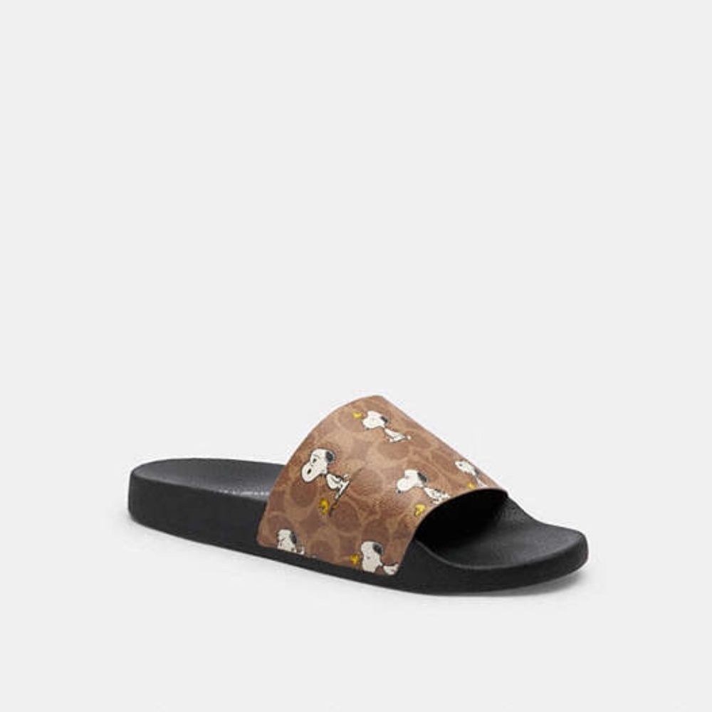 Coach X Peanuts Pool Slide In Signature Canvas With Snoopy Print